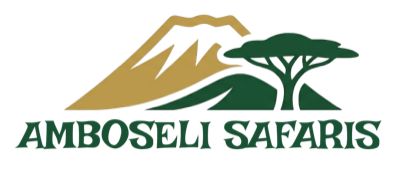 Amboseli Safaris